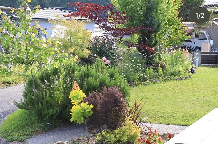 自宅の庭・全景